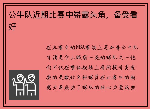 公牛队近期比赛中崭露头角，备受看好